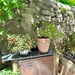 Krizanec * Opatija