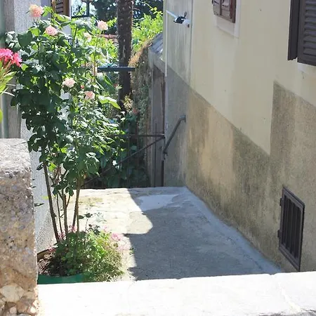 Krizanec