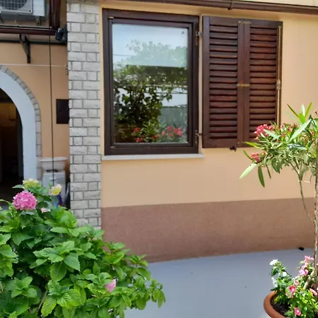 Apartament Krizanec
