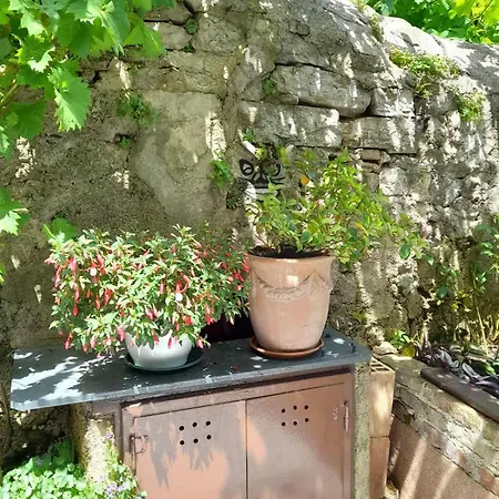 Krizanec * Opatija