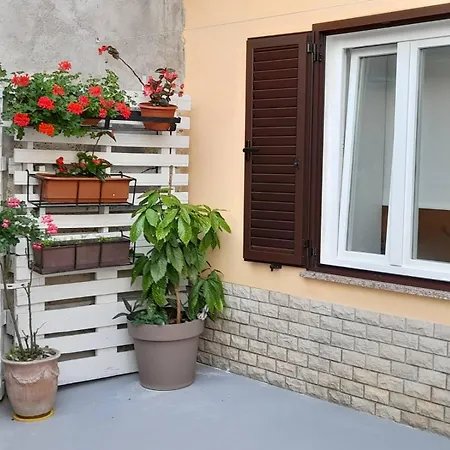 Apartment Krizanec *