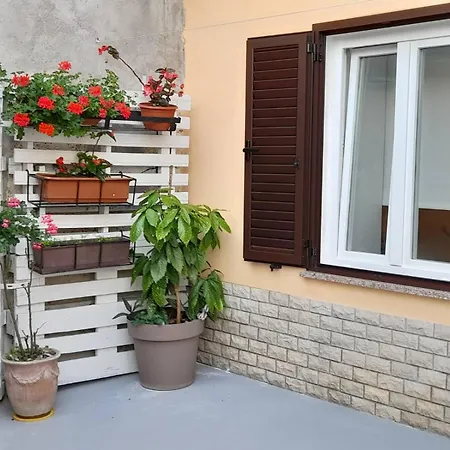 Apartament Krizanec *
